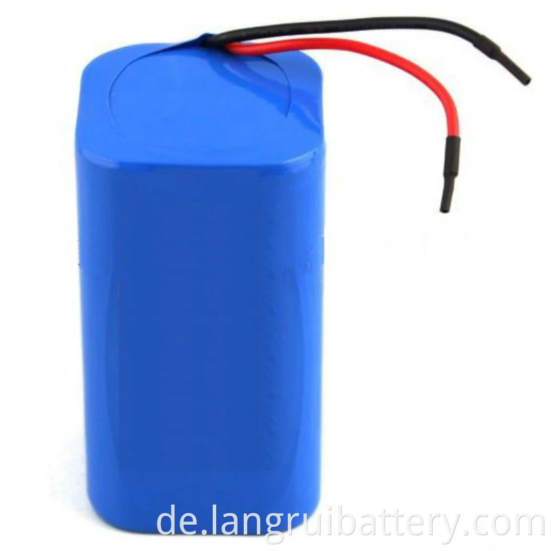 Portable12V Li Ion Battery 
